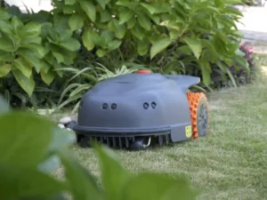 잔디 깎는 기계 딜러: 나에게 딱 맞는 잔디 깎는 기계 찾기