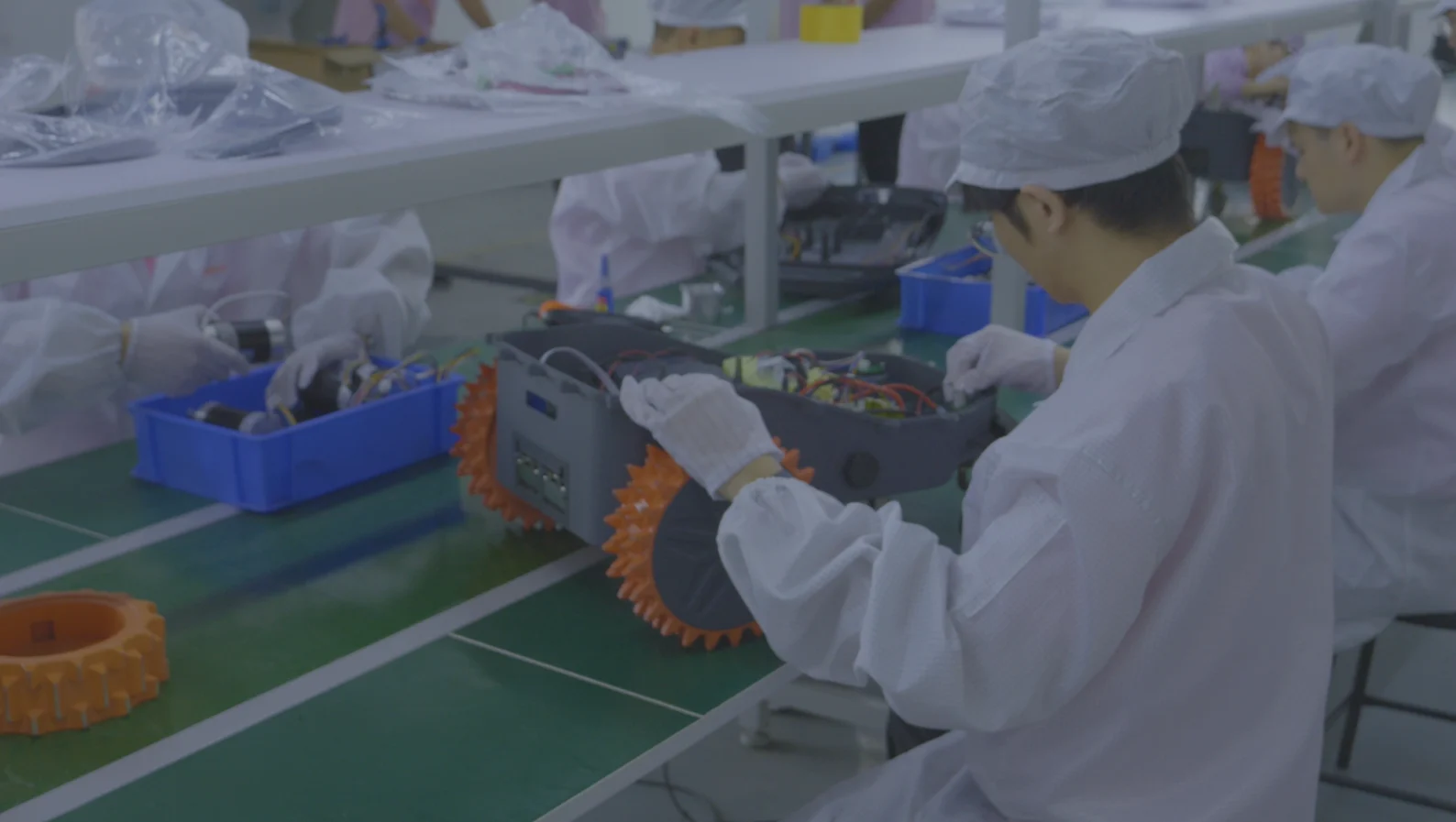 Campione di tosaerba