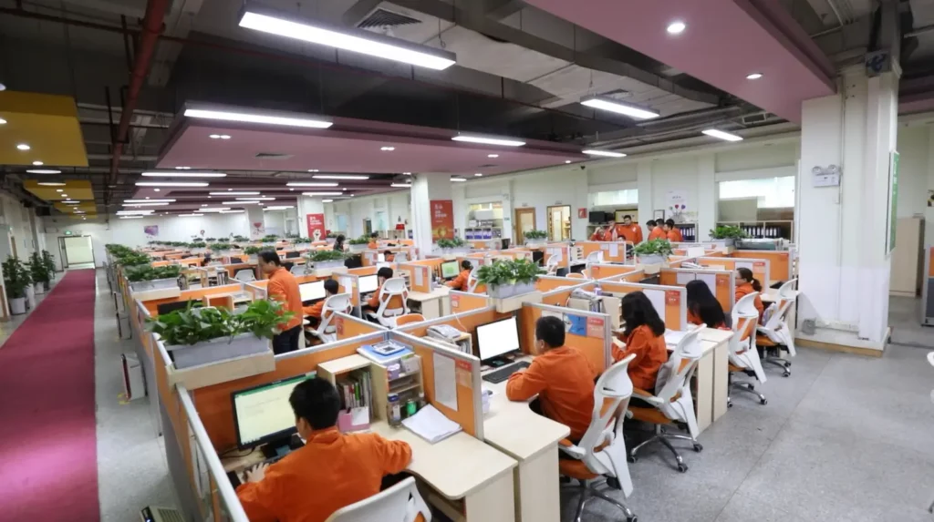 Professional service team